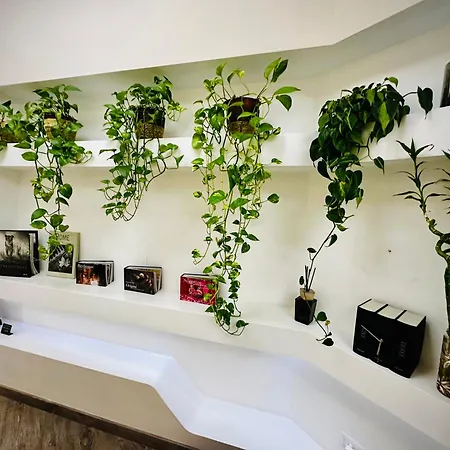 Romantic Dreams Sistina