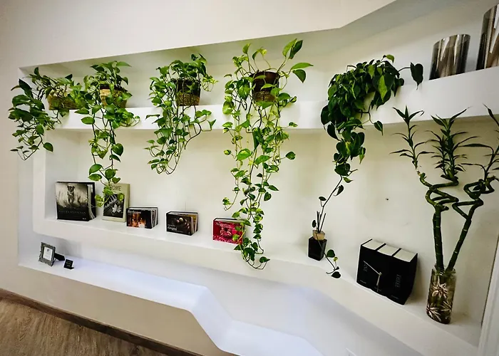 Romantic Dreams Sistina